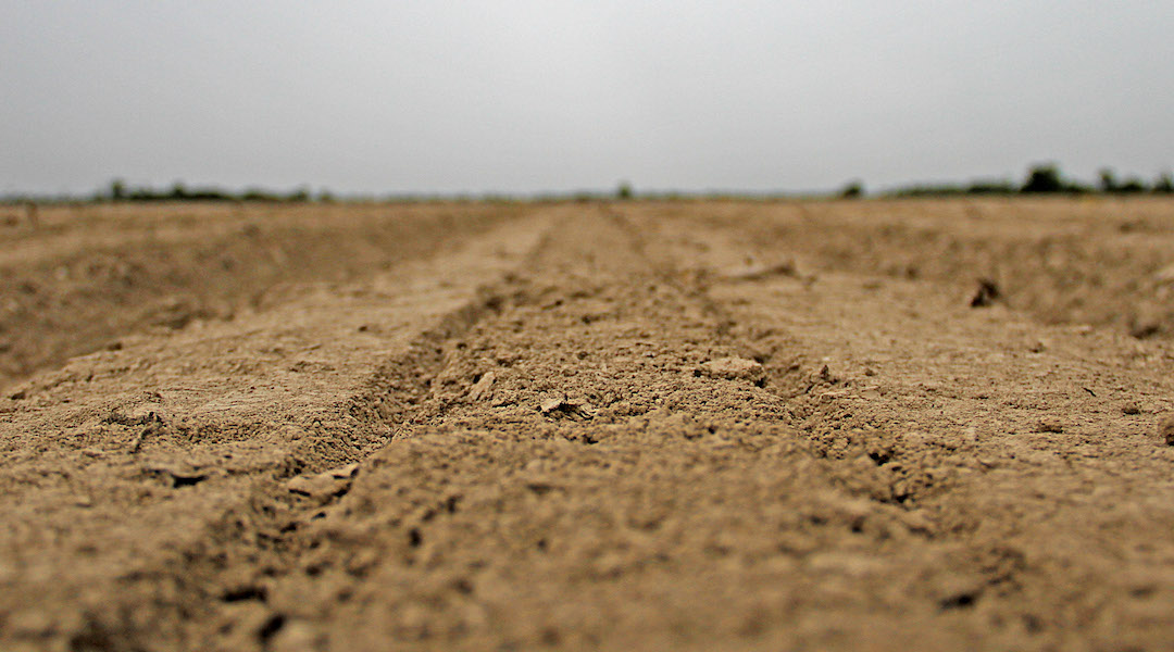 American Gothic Farm Couple Nailed in Massive 9M Crop Insurance Fraud